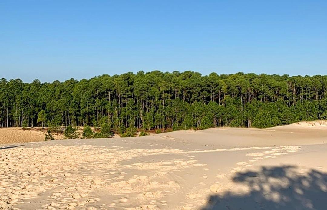 Quinta Do Mocambique Villa Florianópolis Dış mekan fotoğraf